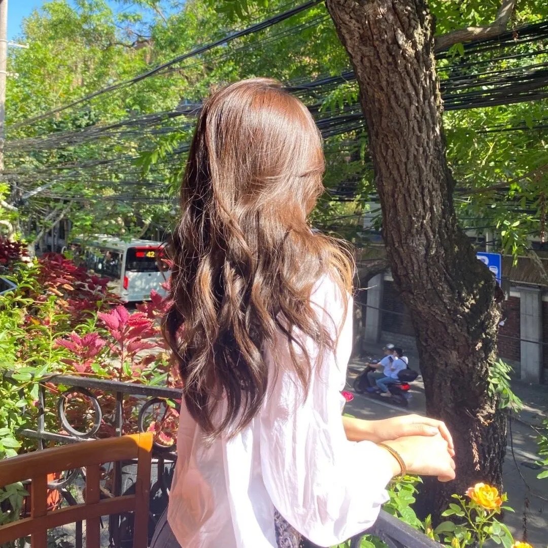 蓬门玉女金龟婿
